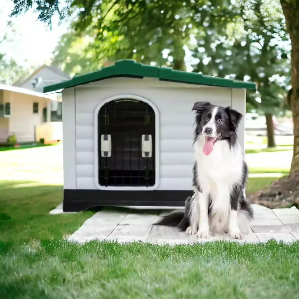 Miniatura: Casa Para Perro Mediano