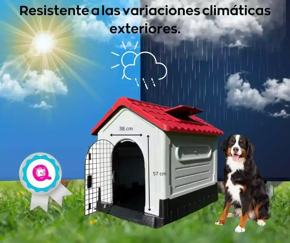 Miniatura: Casa Para Perro Grande/Puerta