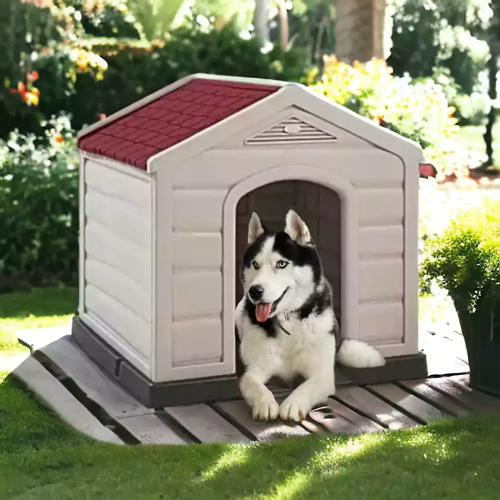 Miniatura: Casa Híbrida Raza Grandes