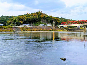 長良川の漁 瀬張り網漁