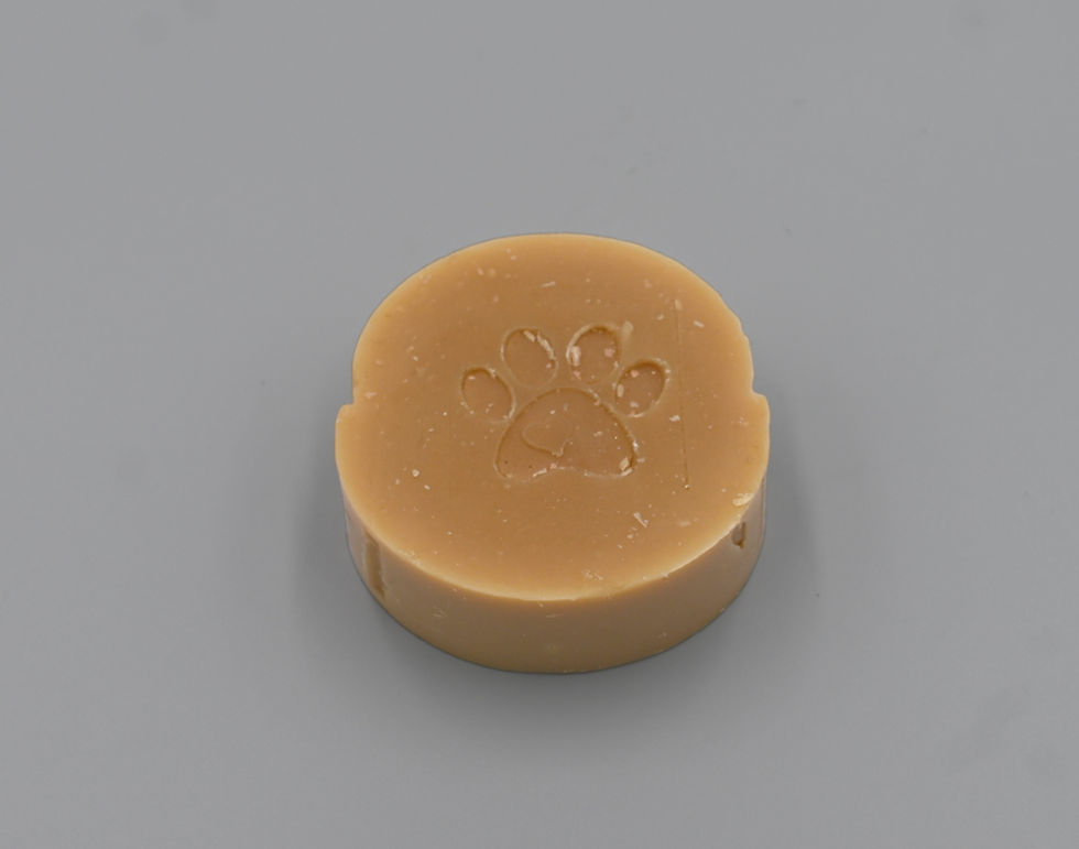 Thumbnail: Dog Shampoo