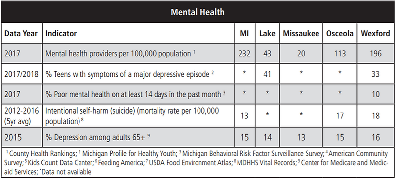 Mental Health 2019 Needs Assessment.PNG