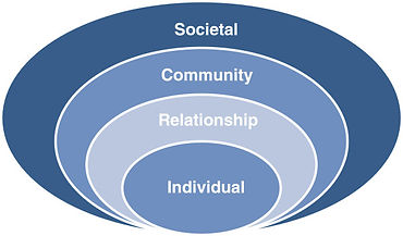 The-Social-Ecological-Model-according-to