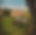 IMG_3591.jpeg