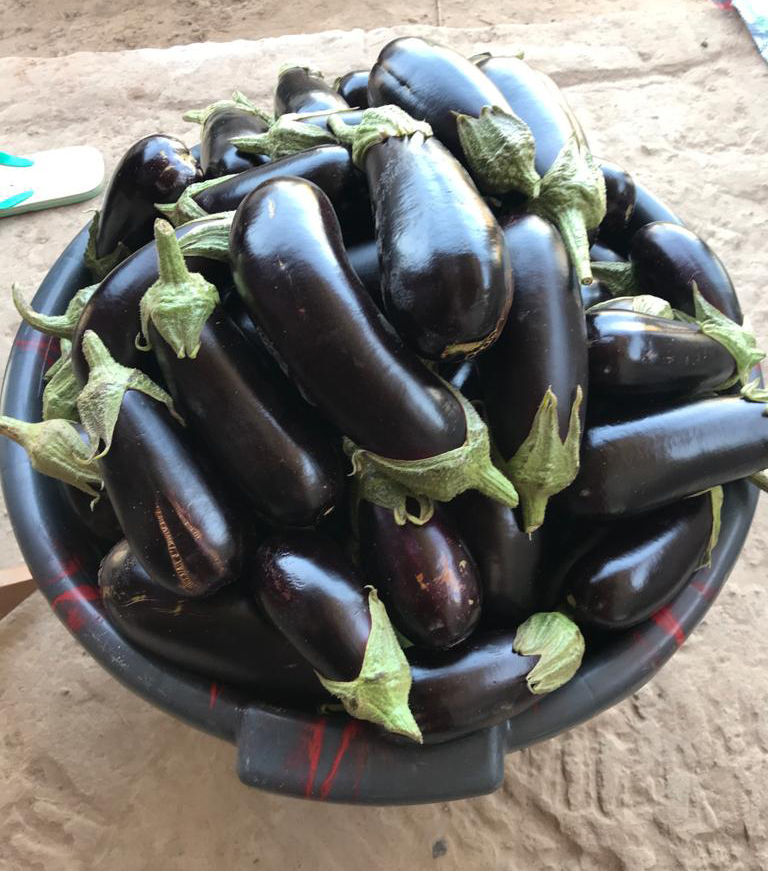 Thumbnail: Delicious Eggplant