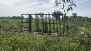 Farm Tour: Get to Know the Land