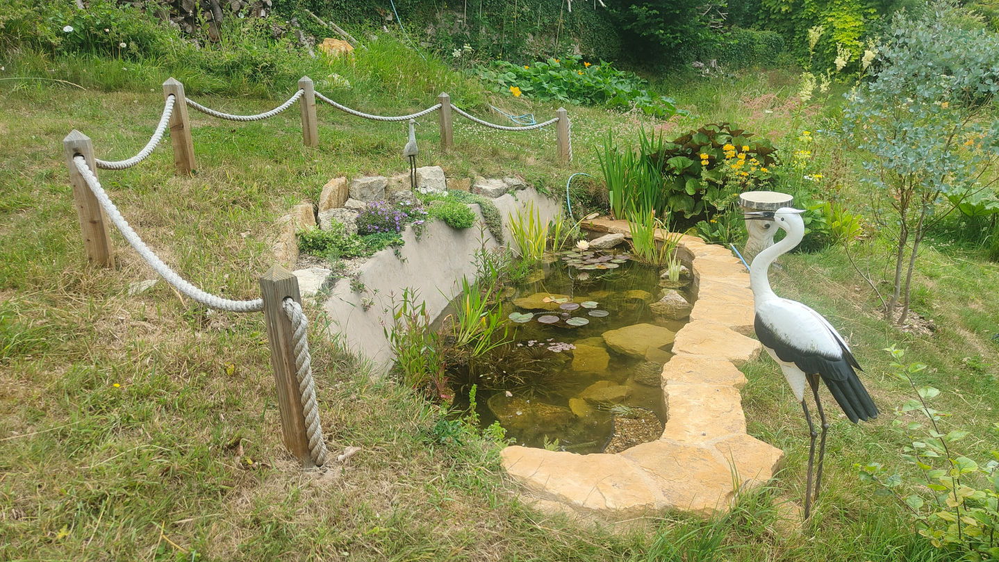 Andy's child-safe wildlife pond