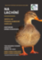 Club na bhFoghlaimeoirí