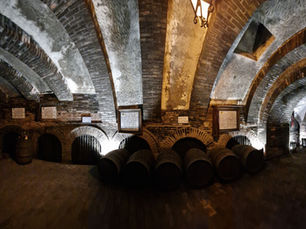 Wijntrip through Castilla y León