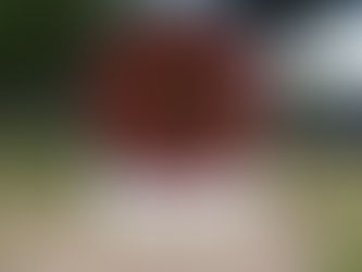 Constantia - Zuid Afrika