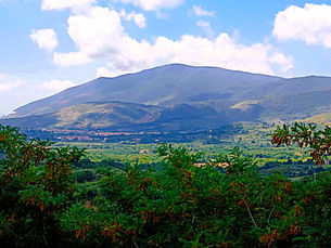 Wijnreis Italie Campanie Bianchini Rossetti