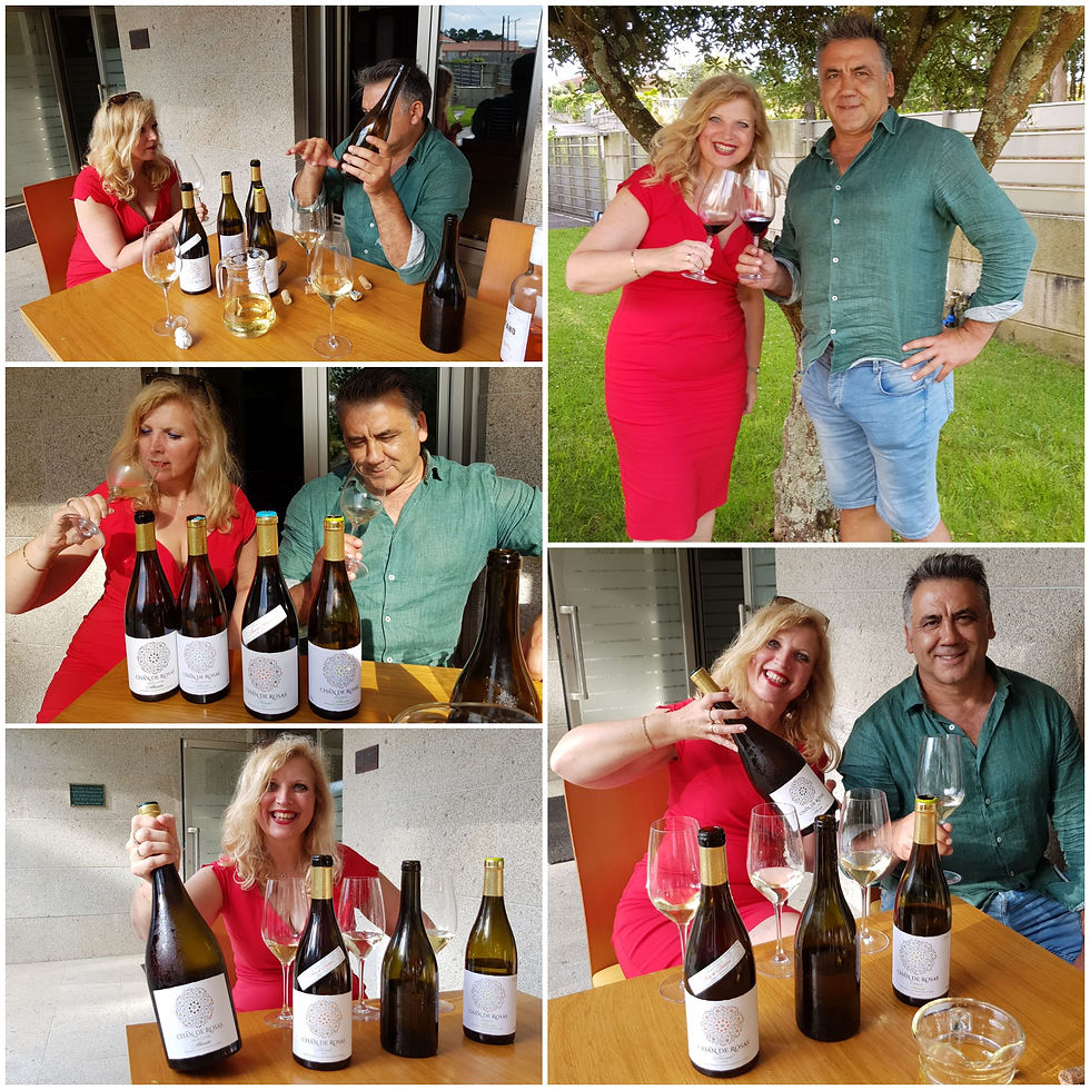 Mijn wijnreizen naar Rias Baixas heeft zijn vruchten afgeworpen. Een leuke samenwerking met Marcos Lojo van Pedras Loiras is toen ontstaan. Probeer ook eens een lekker Albarino van Pedras Loiras gemaakt door Marcos.