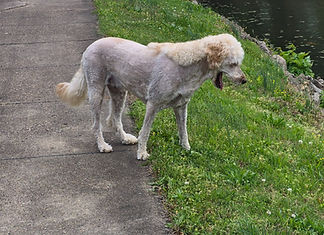 20260415_122524_edited.jpg