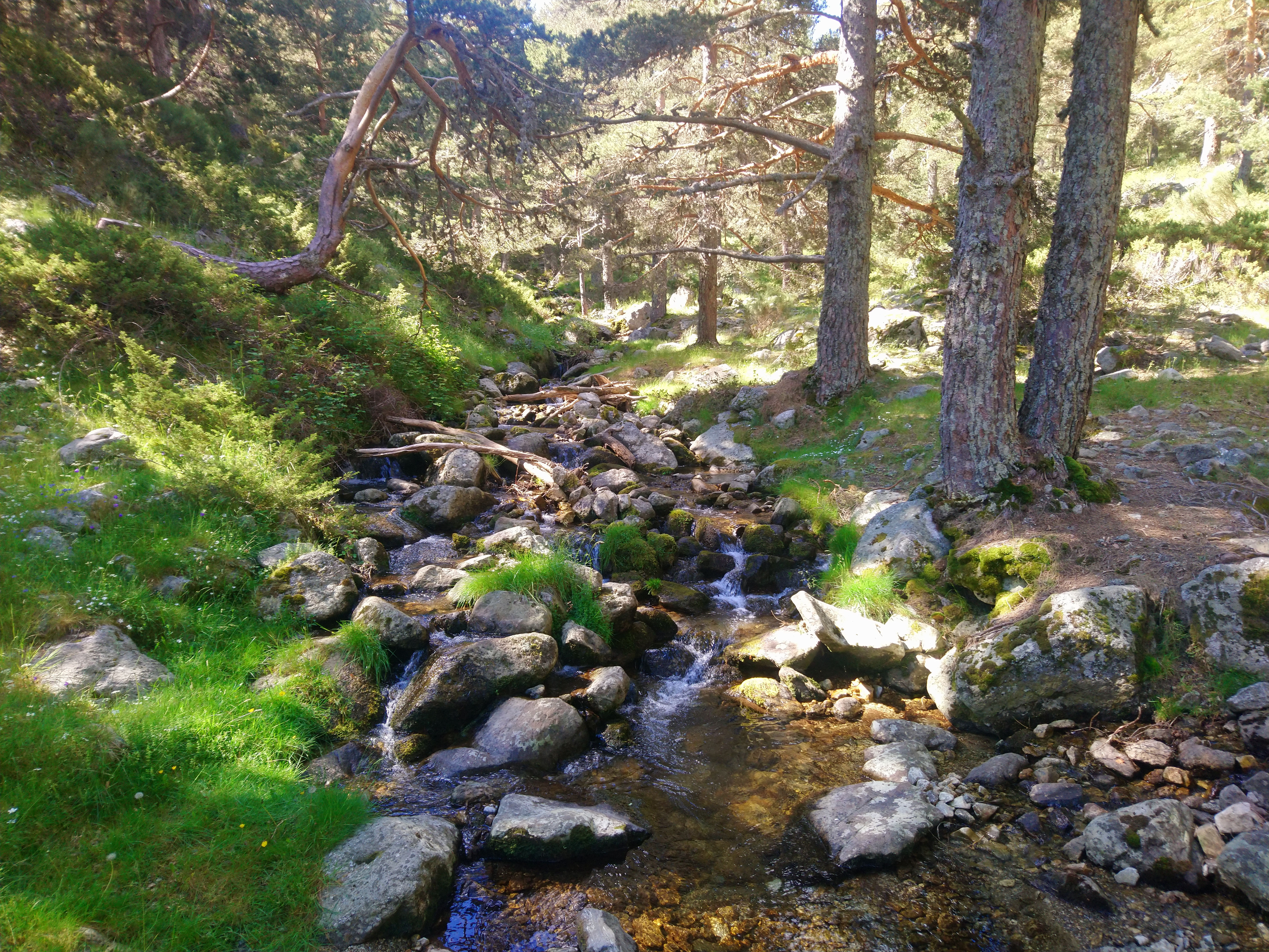 SENDERISMO - ARROYO DE LA ANGOSTURA - VALLE DEL LOZOYA