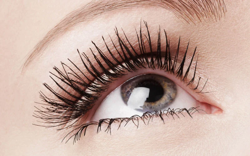 lash tint.webp