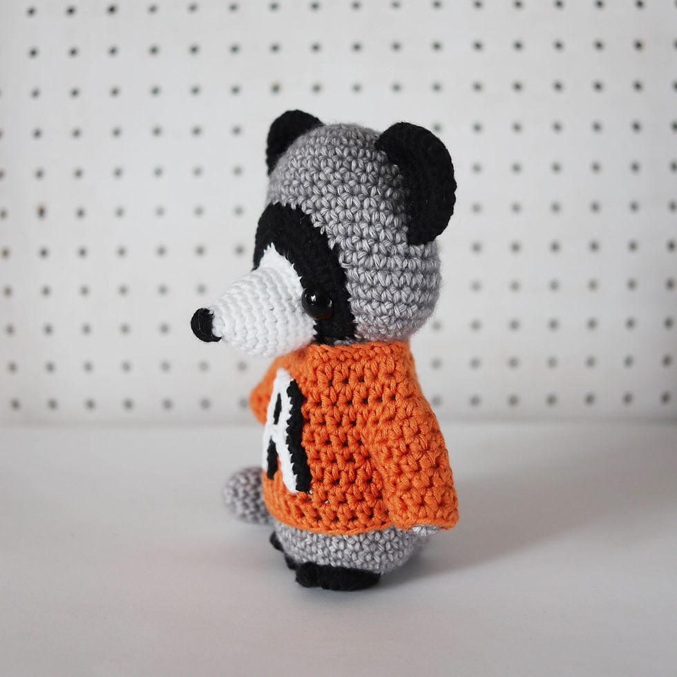 Thumbnail: Rocco Raccoon