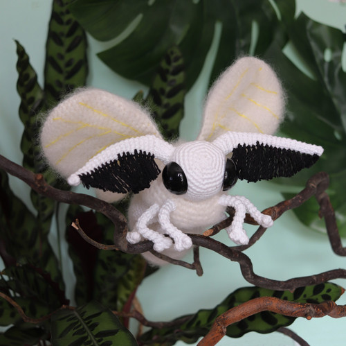Delilah The Poodle Moth Irene Strange