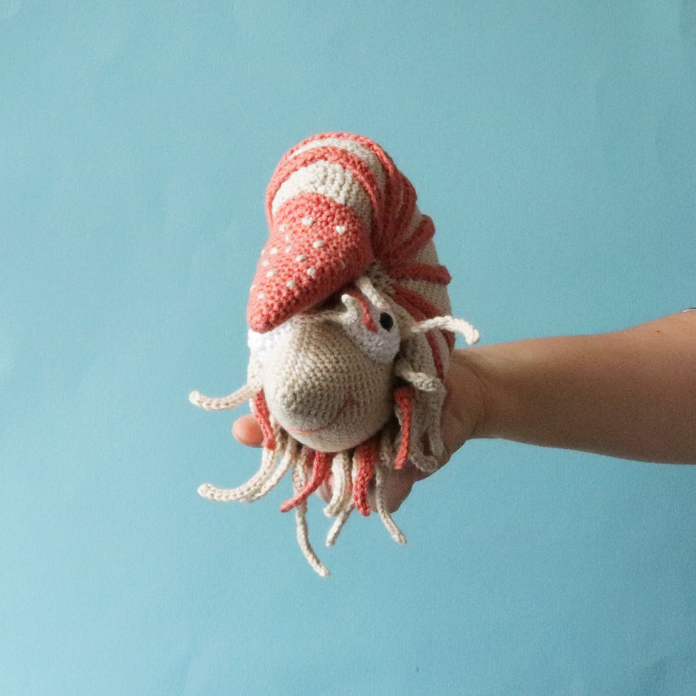 Thumbnail: Jules The Nautilus