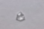 Trillion rose cut LG diamond loose stone