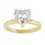 Thumbnail: Heart Hidden Halo Engagement Ring
