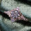 Thumbnail: The Alesi + Vintage Filigree Engagement Ring