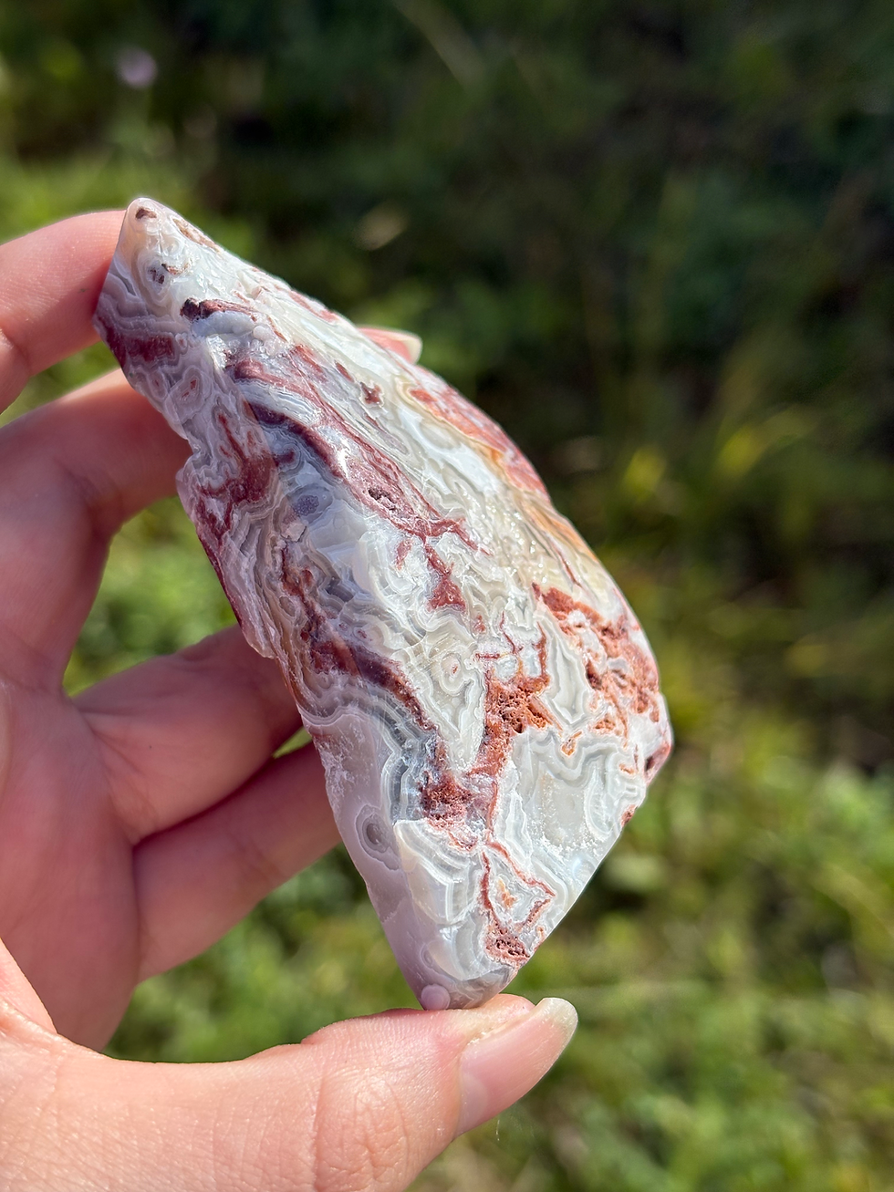 Thumbnail: Mexican Agate Freeform