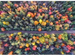 October Market Commentary – Fed to Economy: Drop Dead. Economy: Wait, No – We’re Slowing