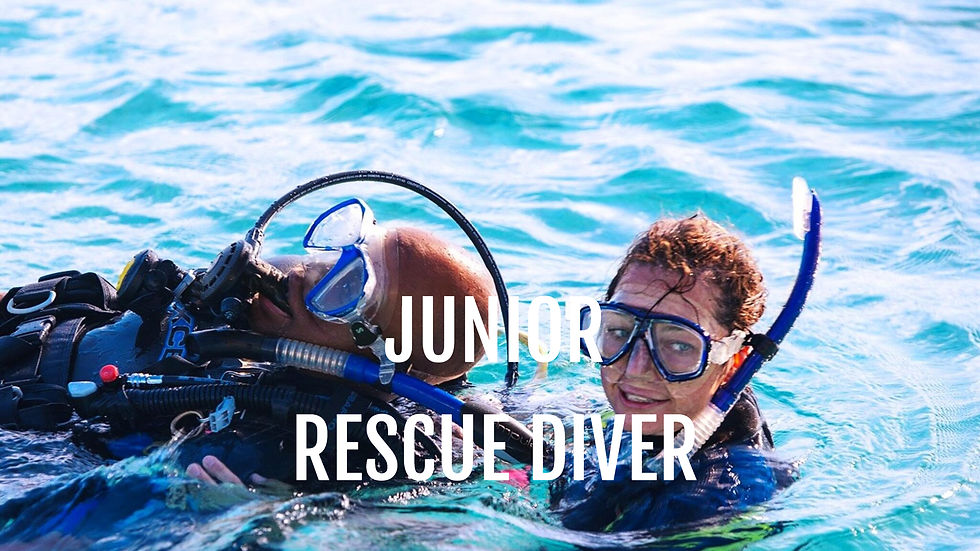 Junior Rescue Diver - Brevet enfant/ado