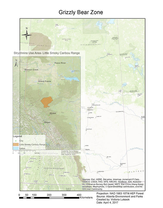 Grizzly Bear Zone.jpg