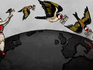 Democracy Without Borders: The Diaspora’s Role in Albania’s 2025 Elections