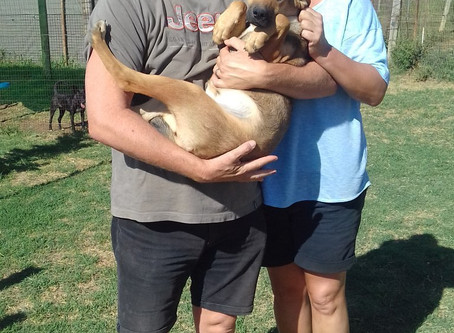 Another welcome adoption yesterday!!! Whoop