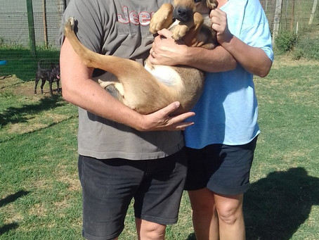 Another welcome adoption yesterday!!! Whoop