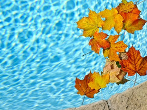 Fall Swim Is Open!