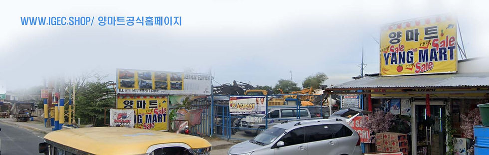 IGEC.jpg