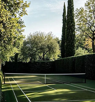 🎾🌳.jpeg