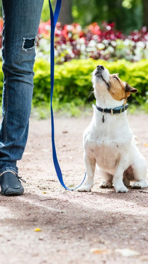 Pawgone Good: How a Local Black-owned Business’s Resilience is Promoting Education and Philanthropy within The Community