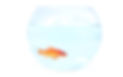 Goldfish