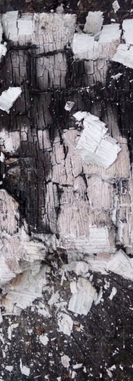 Beauté de cendres éphémères (triptyque)