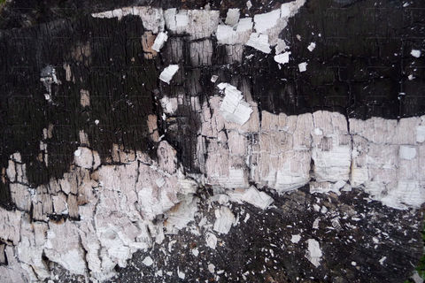 Beauté de cendres éphémères (triptyque)