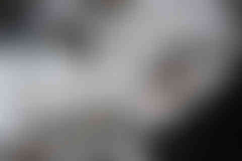 Beauté de cendres éphémères (triptyque)