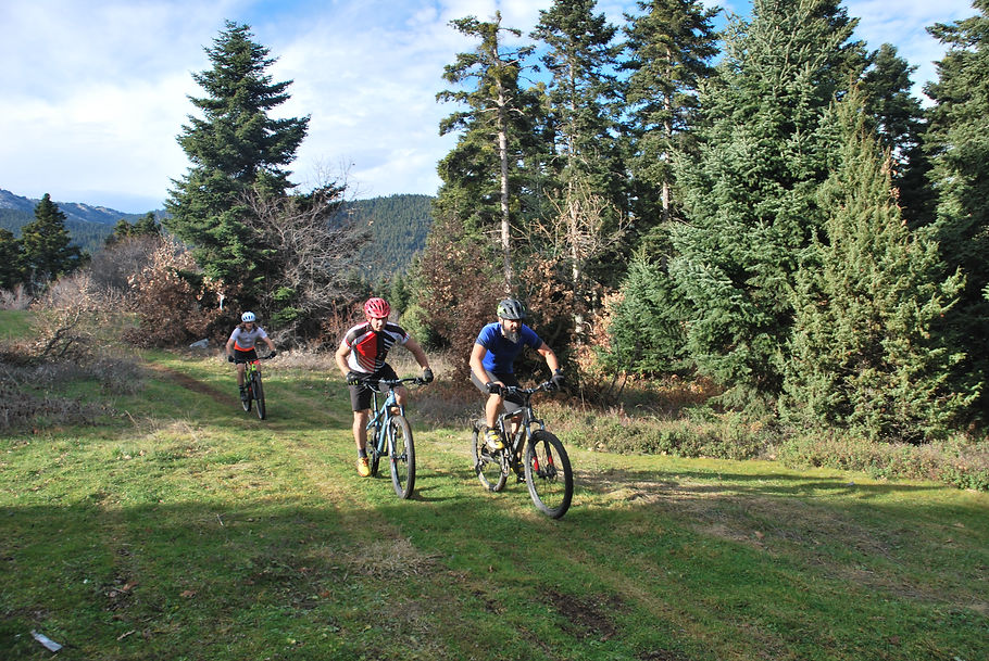 DSC_8617.JPG