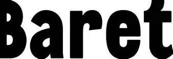 Baret berlin.webp