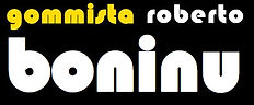 boninu logo sito.JPG