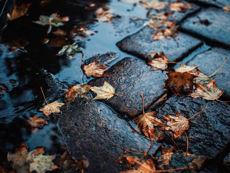 Gloomy