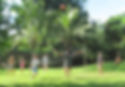 Voley ball