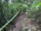 Sendero ecológico