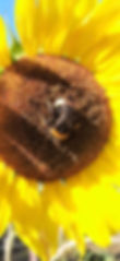 20220911_171053.jpg