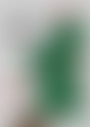 2025 성탄감사예배 (12/25) 안내