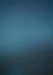 2025 조이풀 블레싱 서울 안내