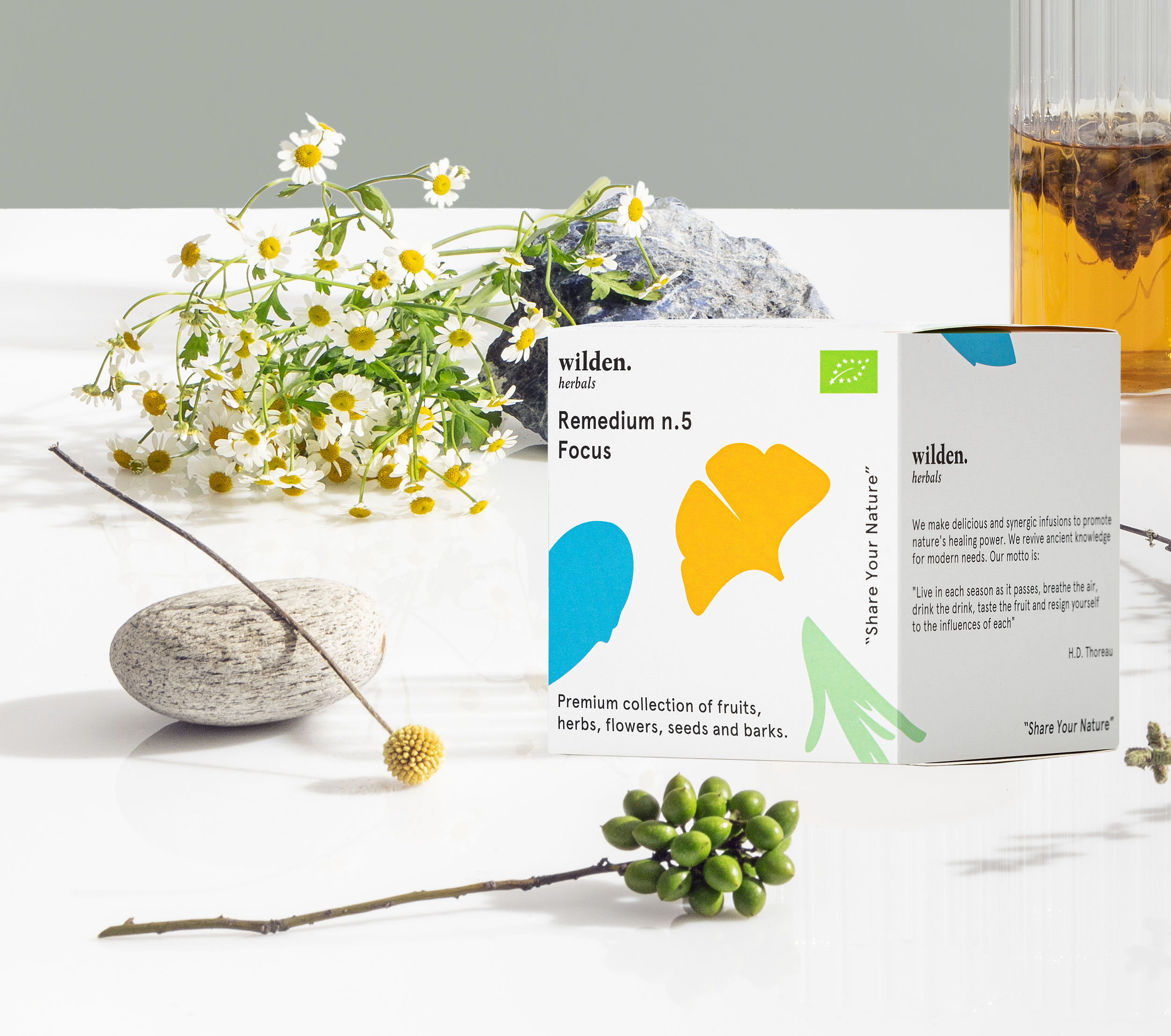 Tisana Remedium n.5 FOCUS - Wilden Herbals